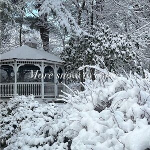 LET IT SNOW SALE..❄️❄️❄️❄️❄️❄️